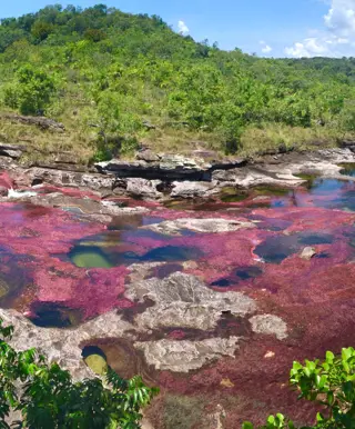 Das Farbenspiel des Caño Cristales